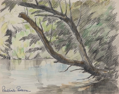 Paulémile Pissarro - Arbre en bordure d'eau